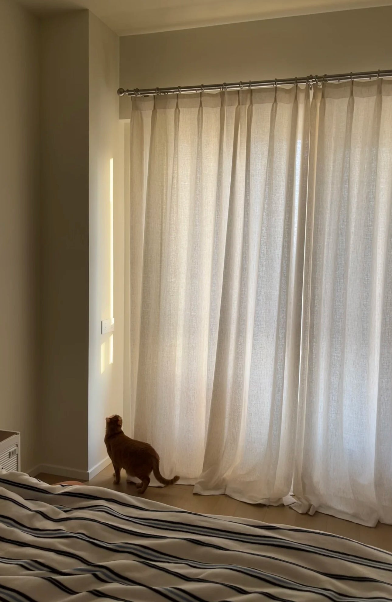 Sheer linen curtains filtering light in a room with a cat walking by.