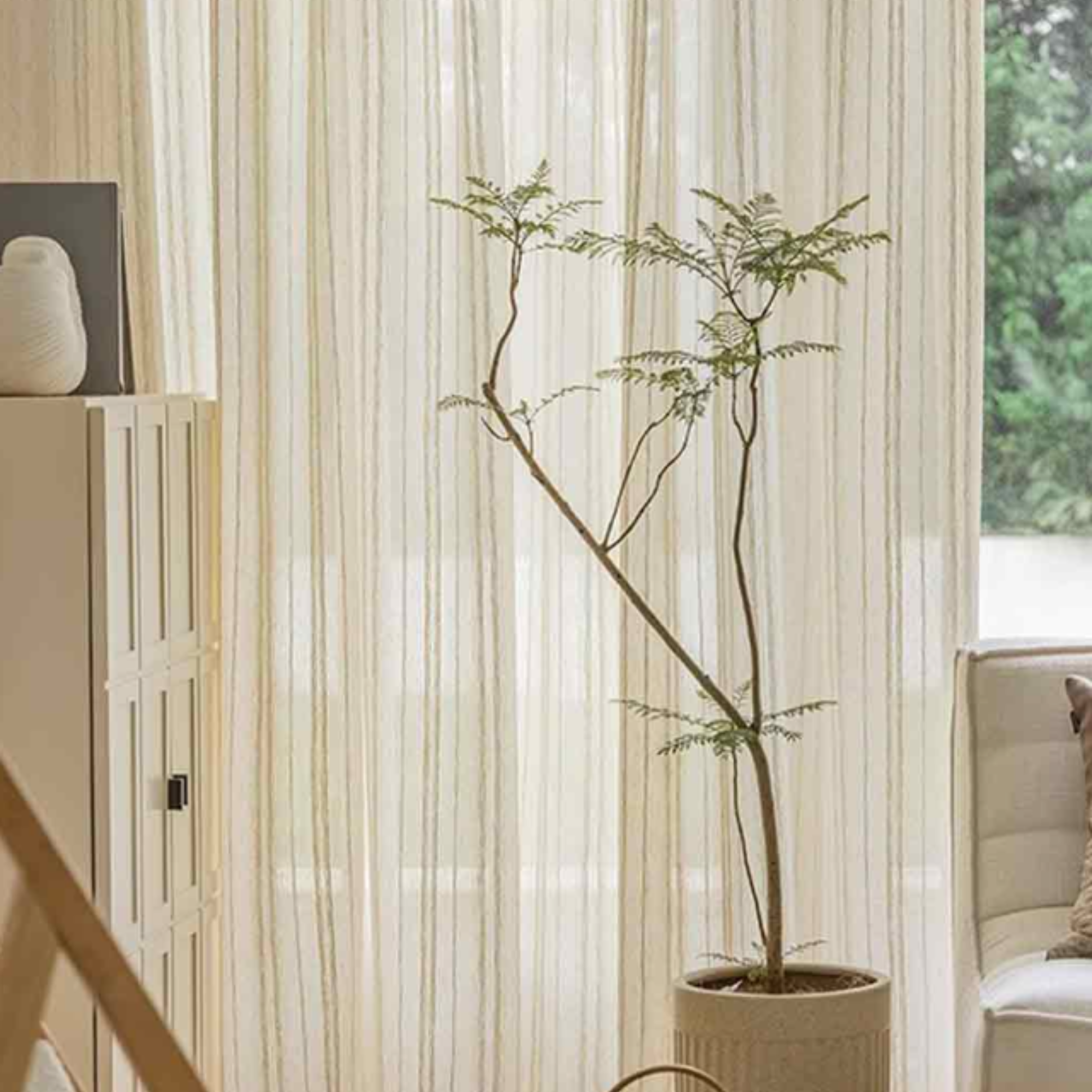 Potted plant in a room with sheer striped linen curtains.